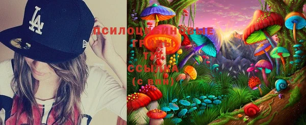 твердый Алексин