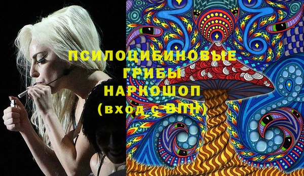 a pvp Алзамай