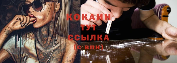 твердый Алексин